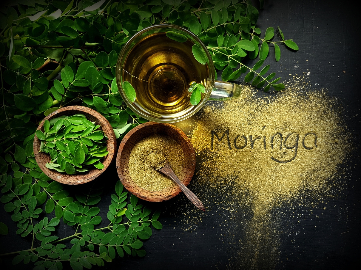 moringa world